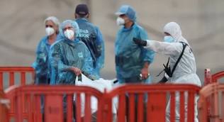 Hantavirus: una enfermedad latente que vuelve preocupar