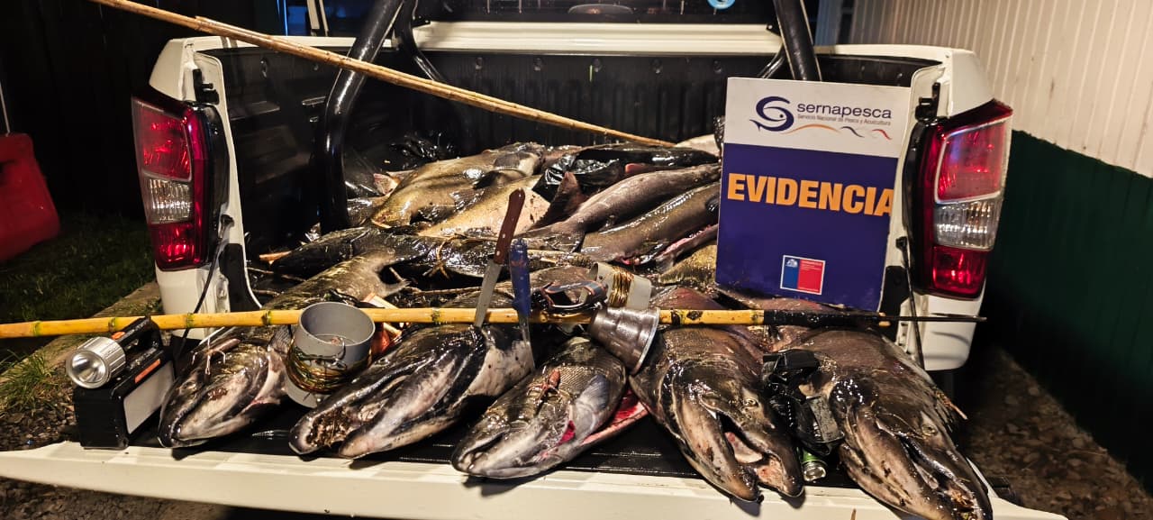 Fiscalización conjunta en aguas continentales de Los Ríos permite detectar pesca ilegal infraganti