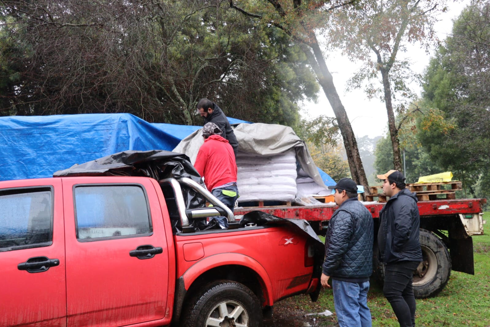 352 familias campesinas de La Unión reciben más de $70 millones para fortalecer su producción y enfrentar el invierno