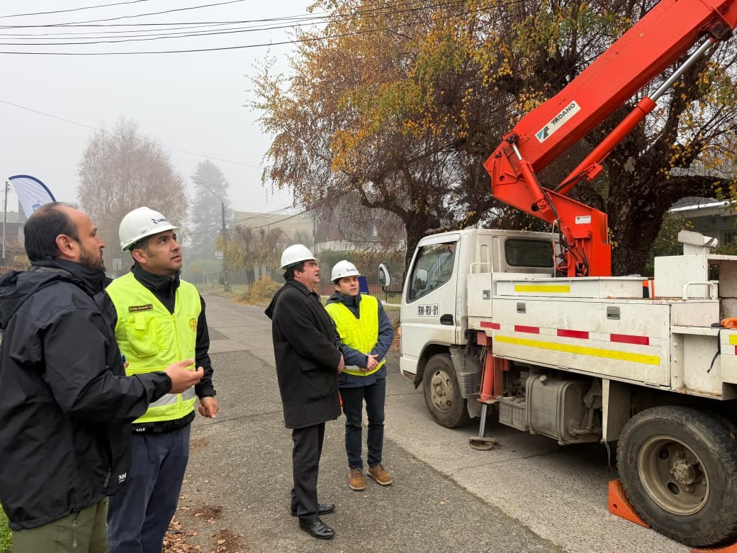 Presentaron Plan Integral de Fortalecimiento de Redes Eléctricas en Valdivia junto a autoridades