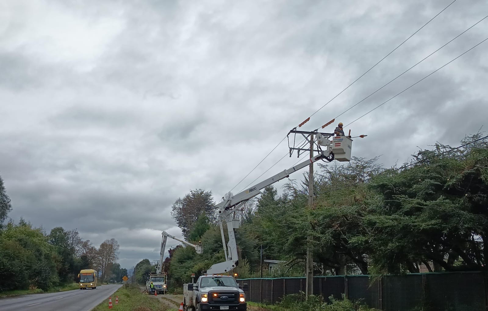 Saesa refuerza trabajos preventivos en Valdivia para garantizar un servicio continuo y de calidad este invierno